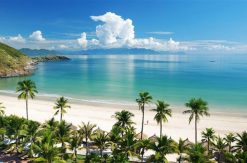 TOUR DISCOVER 1 DAYS NHI NHU PHU – MONKEY ISLAND