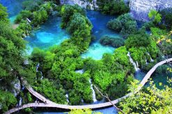 VISIT BACH CODE NATIONAL PARK 1 DAY