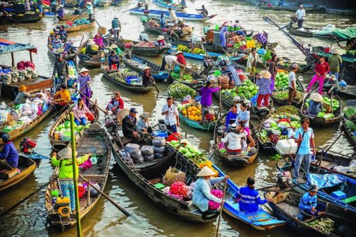 Tour Mekong Delta